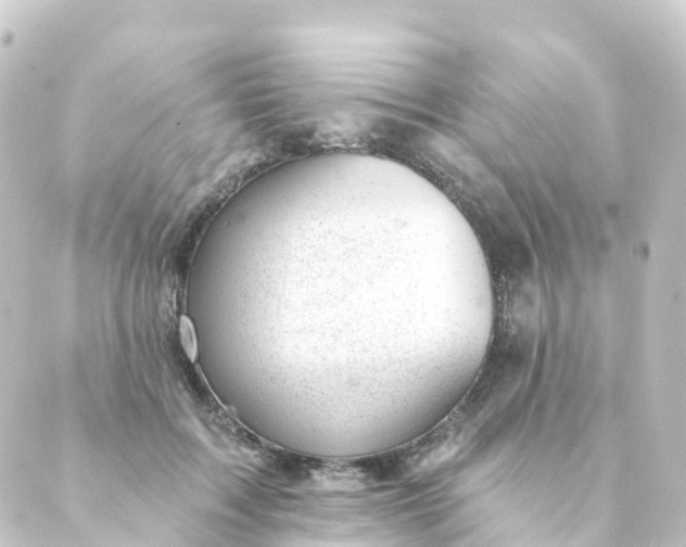 X0000088900603200706221906