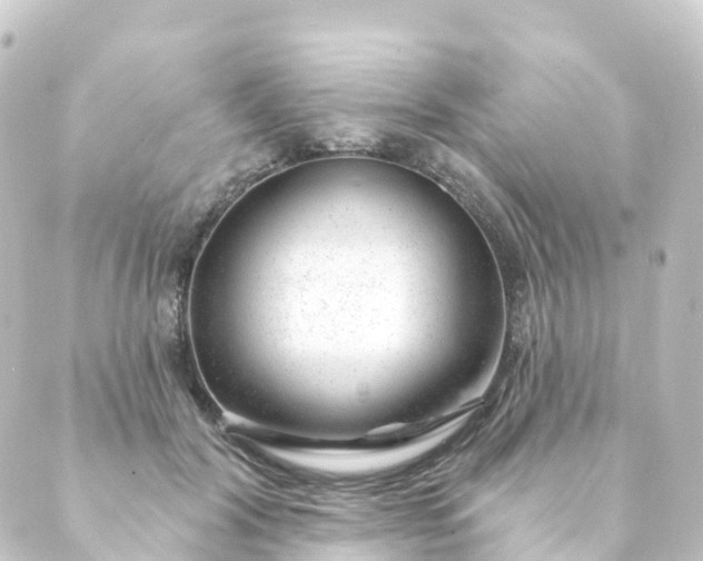 X0000088900604200706221906