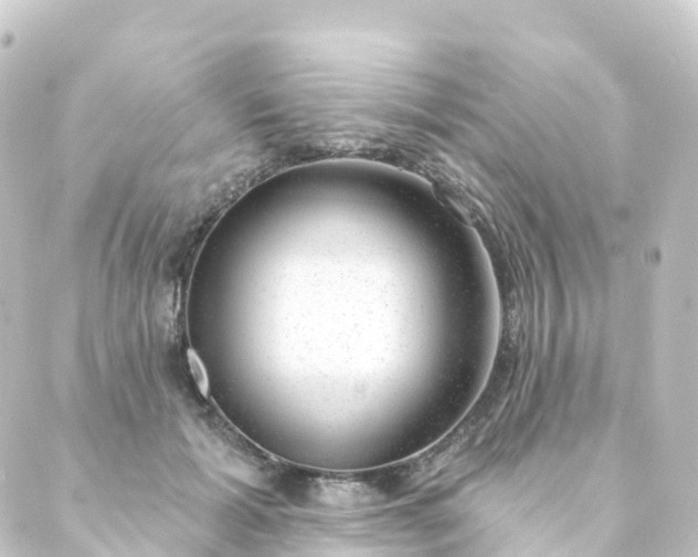 X0000088900605200706221906