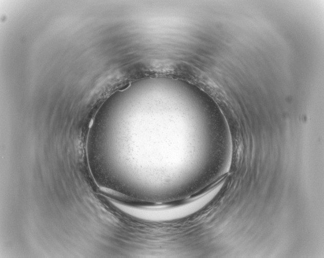 X0000088900609200706221906