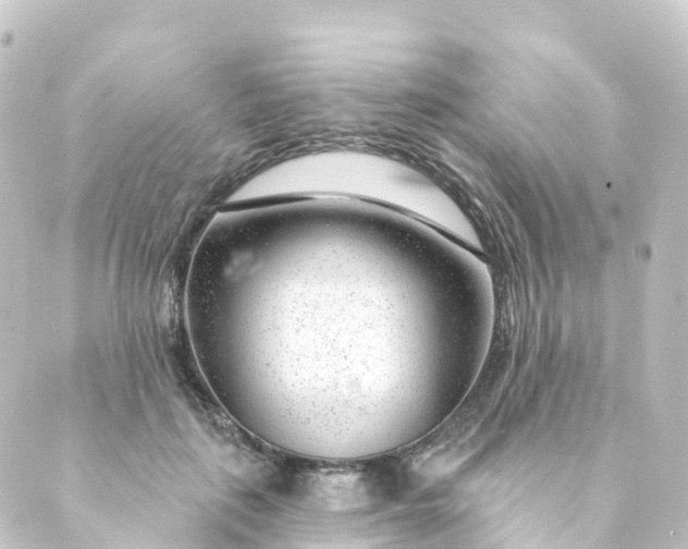 X0000088900651200706221906