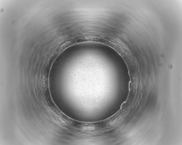 X0000088900653200706221906