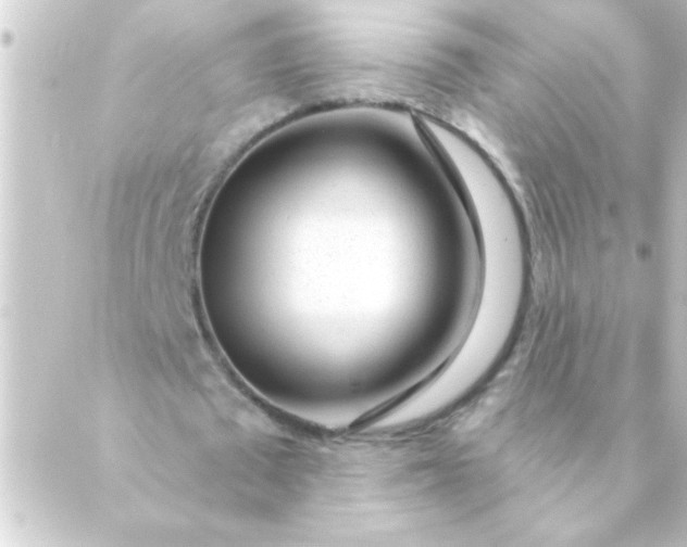 X0000088900673200706221905