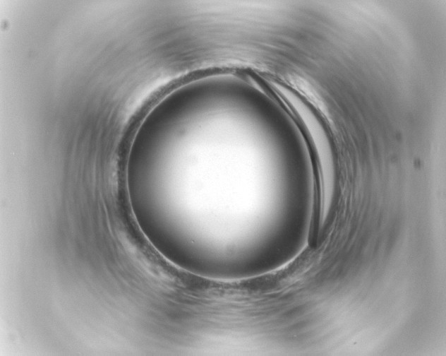 X0000088900676200706221905