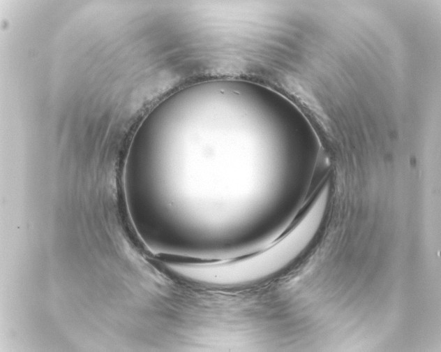X0000088900681200706221905