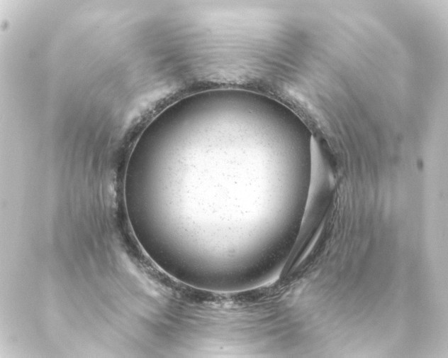 X0000088900688200706221905