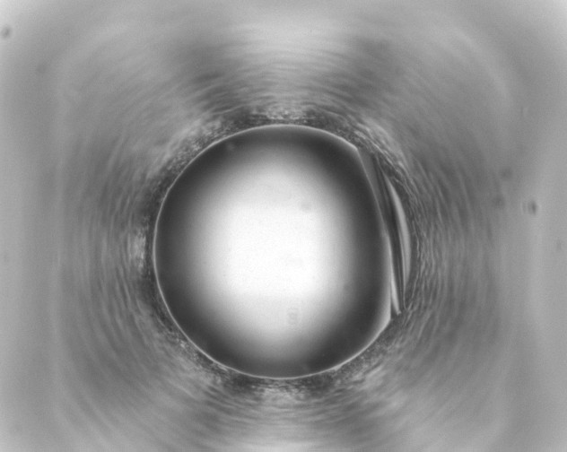 X0000088900697200706221905