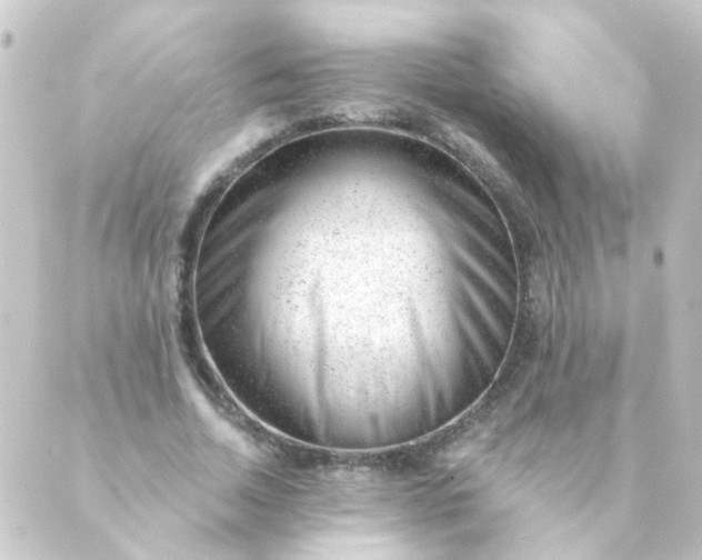 X0000088900730200706221904