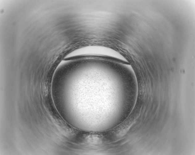 X0000088900751200706221904