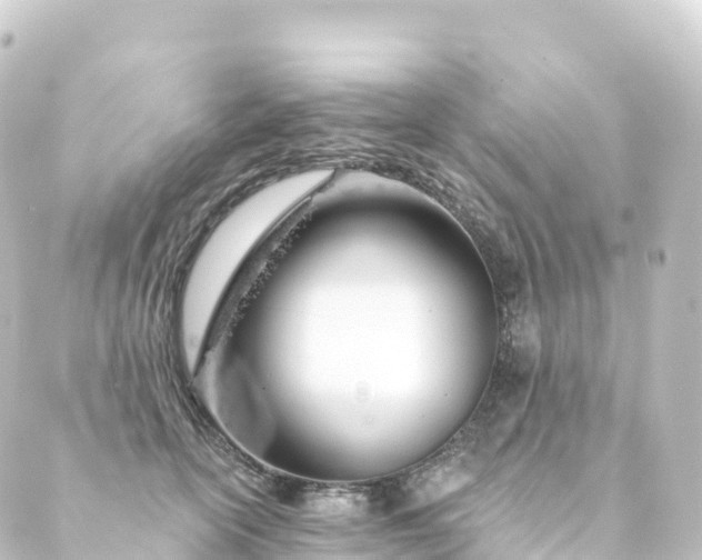 X0000088900754200706221904