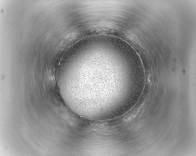 X0000088900771200706221904