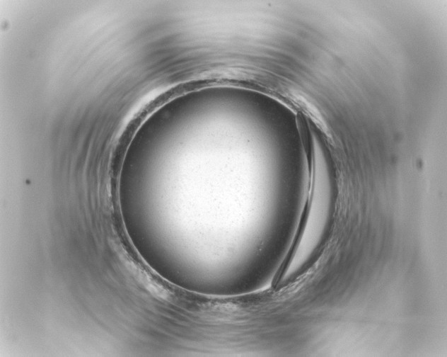 X0000088900784200706221903