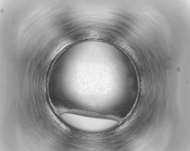 X0000088900794200706221903