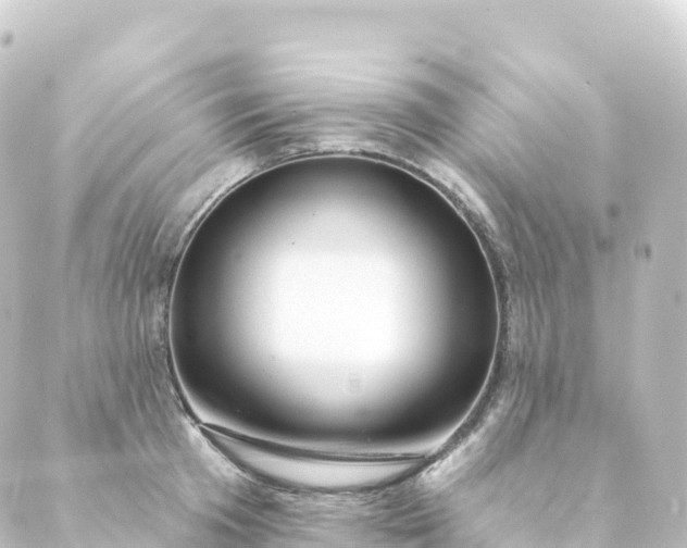 X0000088900801200706221903