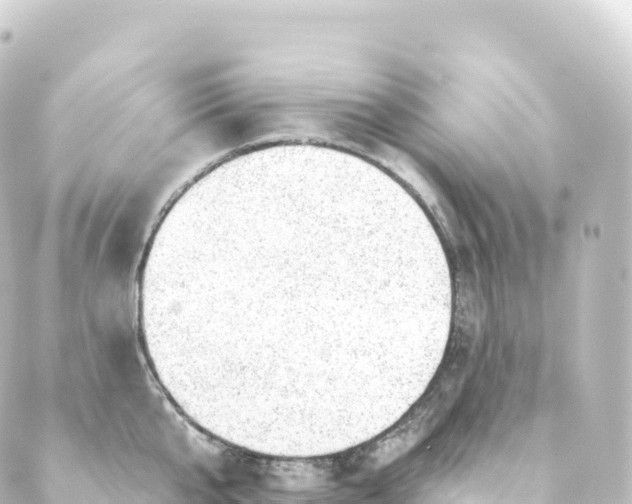 X0000088900807200706221903