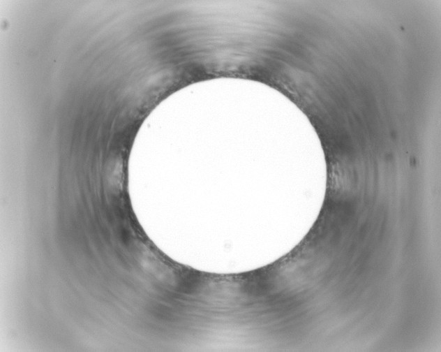 X0000088900820200706221902
