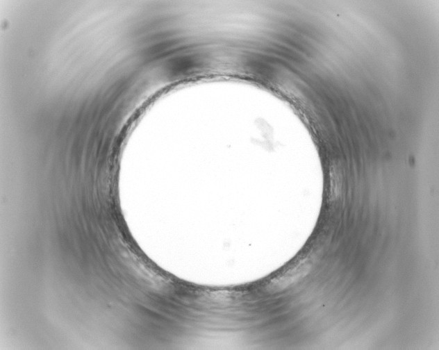 X0000088900828200706221902