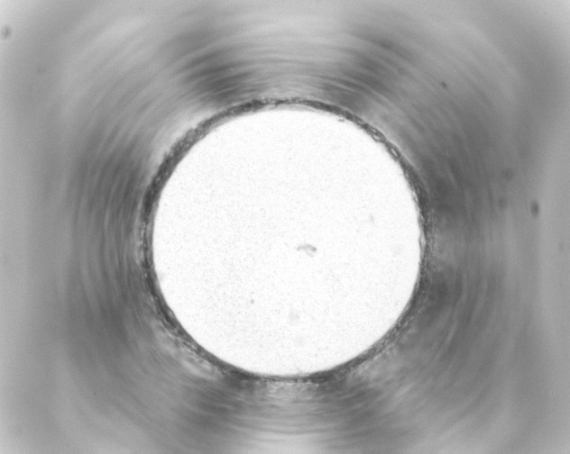 X0000088900832200706221902