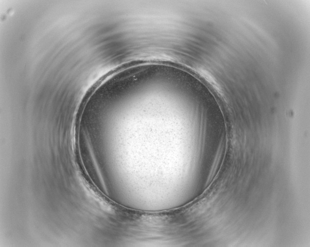 X0000088900840200706221902