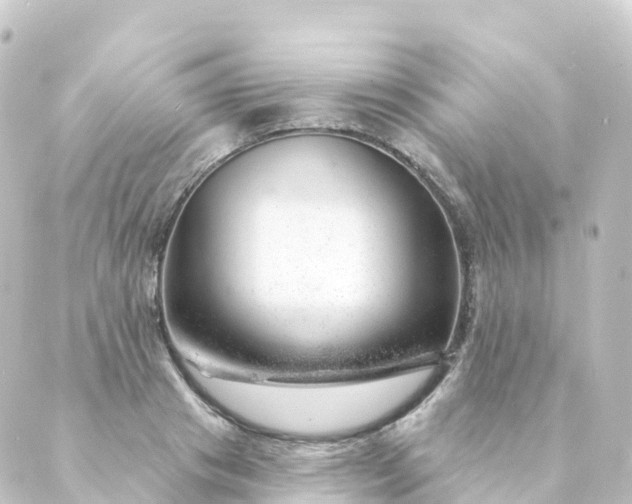 X0000088900841200706221902