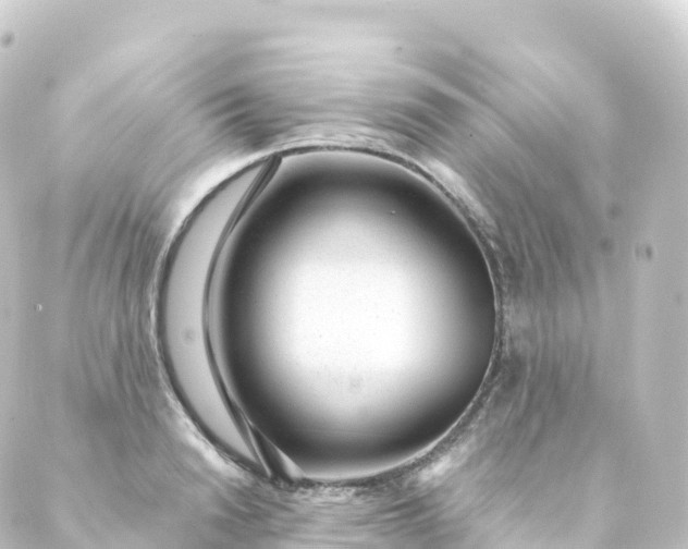 X0000088900846200706221903