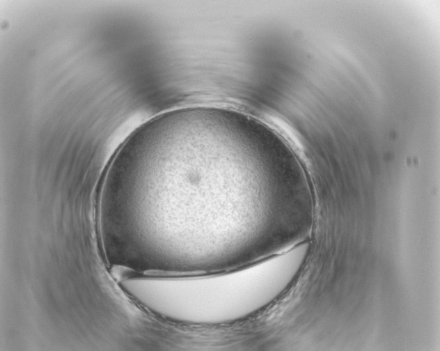 X0000088900907200706221901