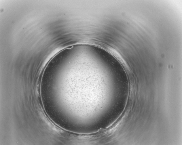 X0000088900908200706221901