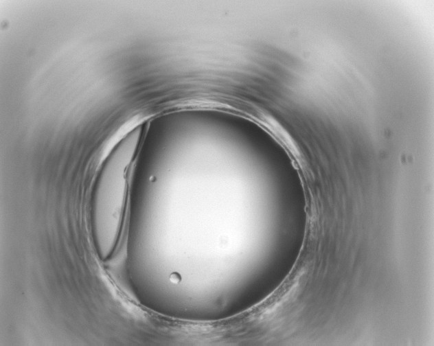 X0000088900909200706221901