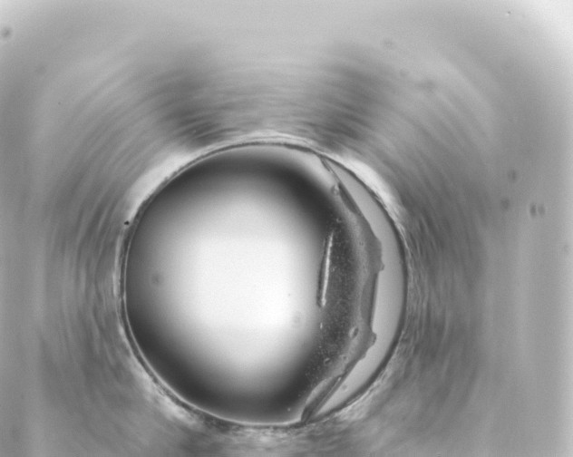 X0000088900910200706221901