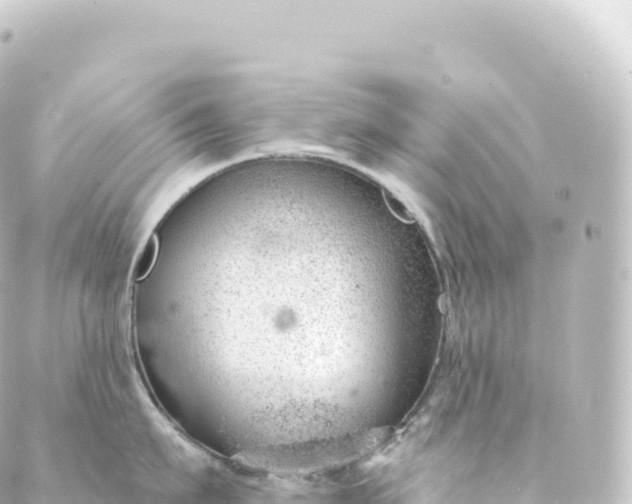 X0000088900911200706221901