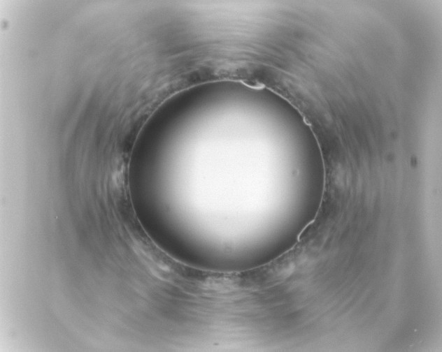 X0000088900914200706221901