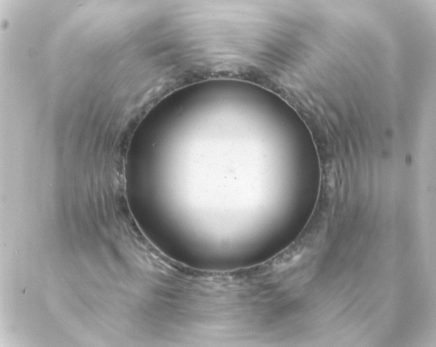 X0000088900916200706221901