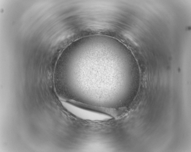 X0000088900917200706221901