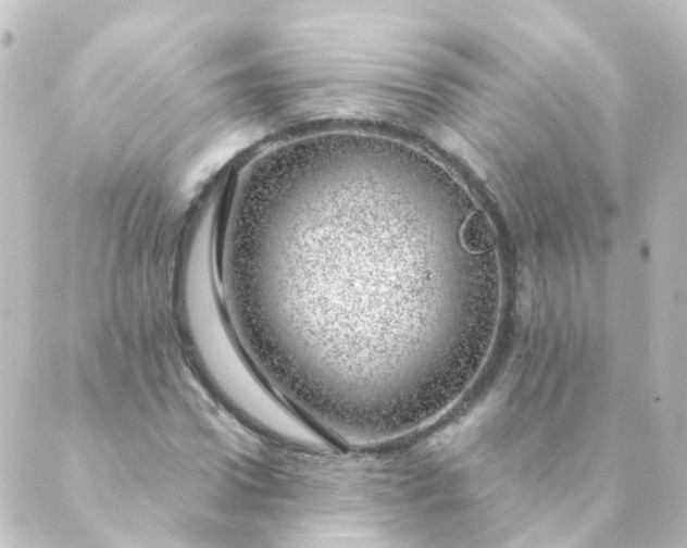 X0000088900922200706221901