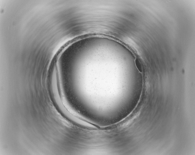 X0000088900924200706221901