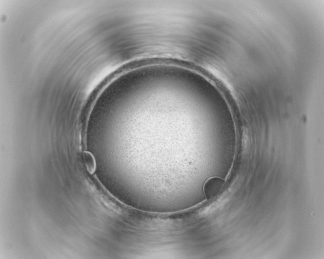 X0000088900925200706221901