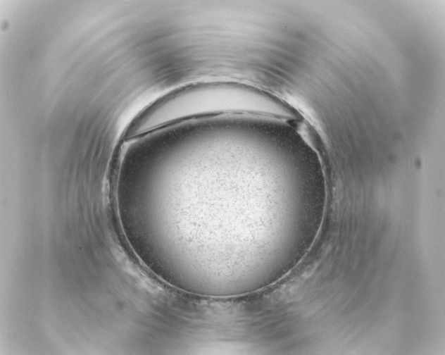 X0000088900928200706221901