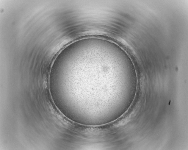 X0000088900929200706221901