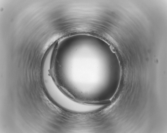 X0000088900930200706221901