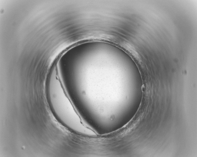 X0000088900936200706221901