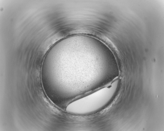 X0000088900937200706221901