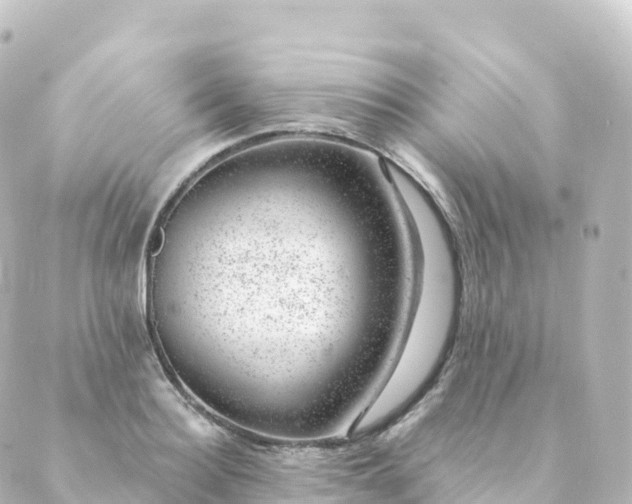 X0000088900940200706221901