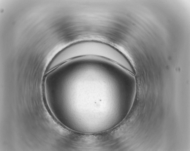 X0000088900943200706221901