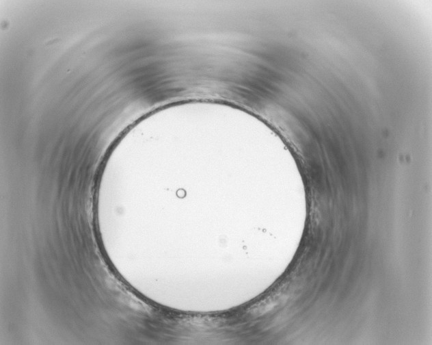 X0000088900950200706221901