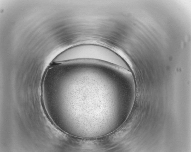 X0000088900951200706221901