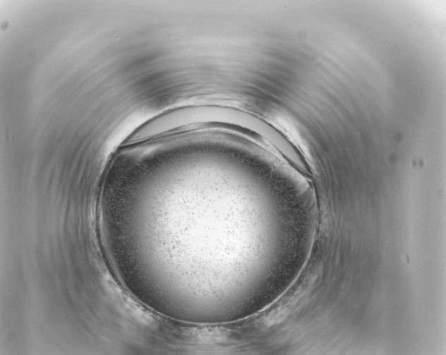 X0000088900952200706221901