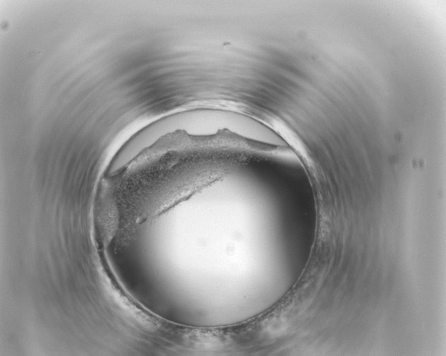 X0000088900955200706221901