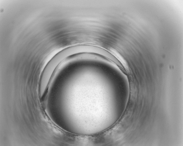 X0000088900956200706221901