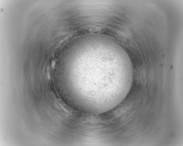 X0000088900962200706221901