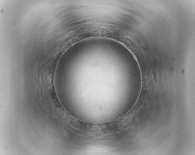 X0000088901013200706221859